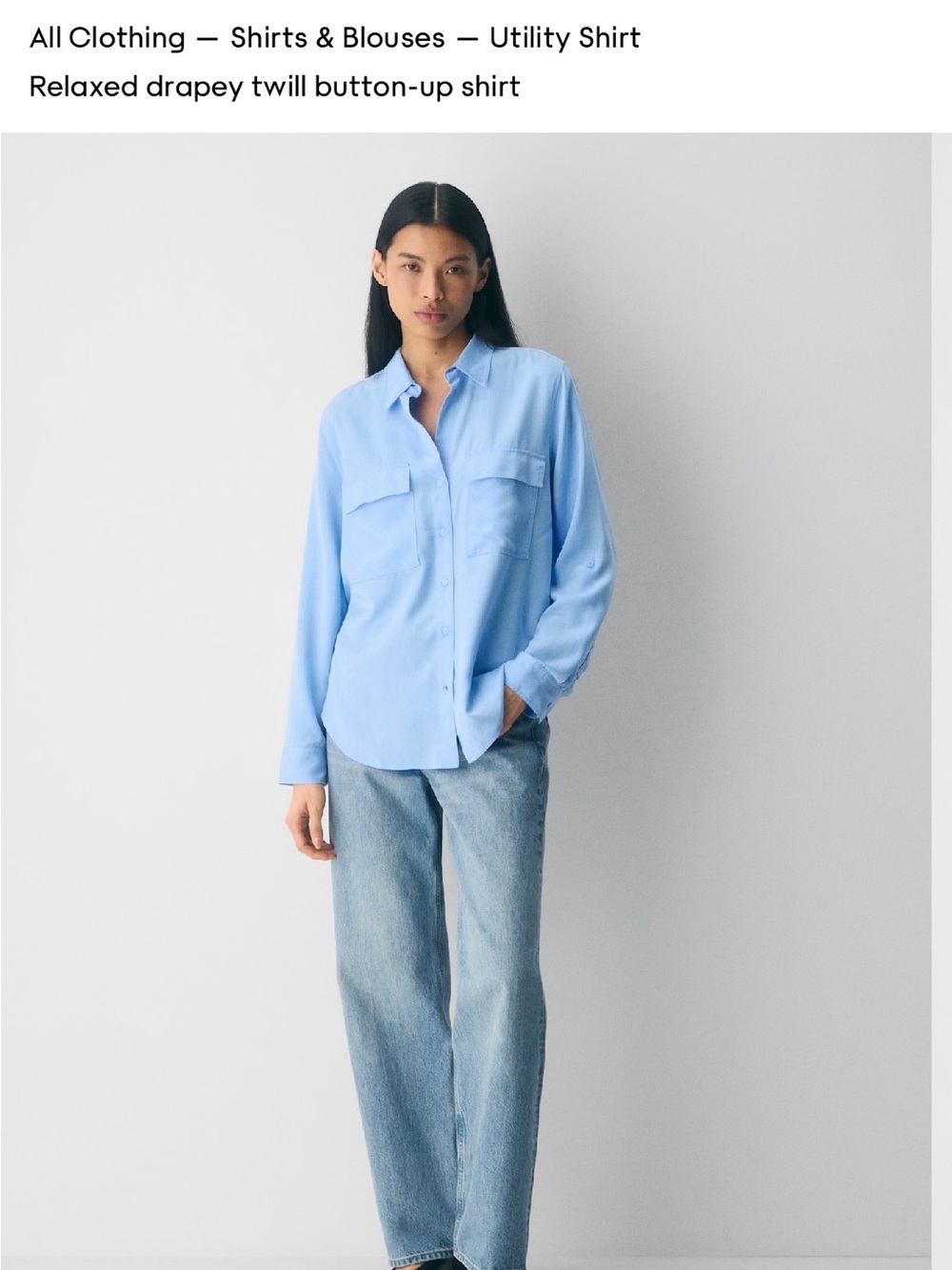 Aritzia Babaton Light Blue Button-Up Utility Shirt